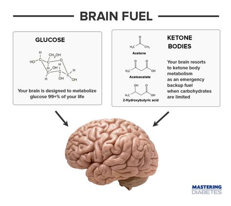 Glial Cells, Brain Energy, University Of Rochester, Pharmacy School, Improve Brain Function, Packaged Food, Brain Function, They Live, Alzheimers