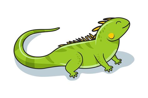 Iguana Illustration Cartoon Iguana Cartoon, Iguana Illustration, Iguana Drawing, Alphabet Images, Illustration Cartoon, Easy Doodles Drawings, Baby Animals Funny, Simple Doodles, Flash Cards