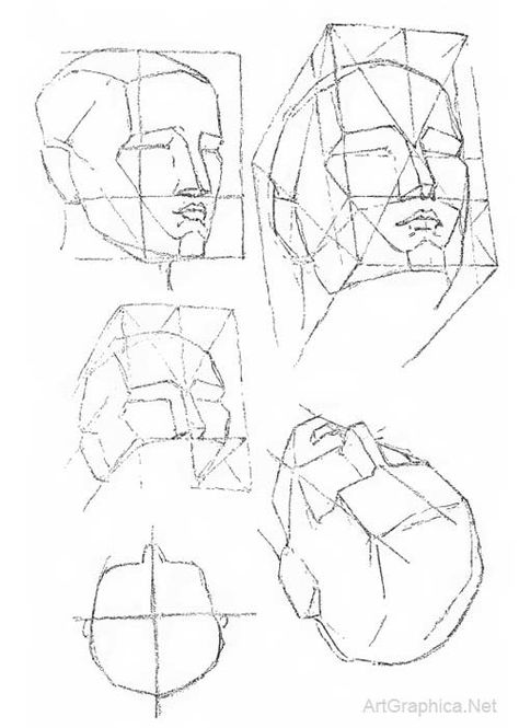 george bridgman anatomy book Face Planes, George Bridgman, Drawing The Human Head, Head Reference, Head Anatomy, Face Anatomy, Drawing Help, 얼굴 드로잉, Human Anatomy Drawing