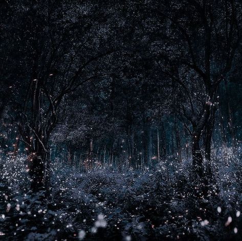 Fae Aesthetic, Falling Stars, Fantasy Forest, Forest Wallpaper, Fantasy Places, Fantasy Aesthetic, Urban Fantasy, U Can, Night Aesthetic