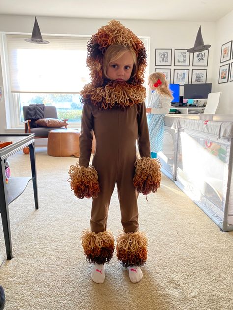 Lion King Costumes, Lion King Costume, Lion Costume, Lion King Art, King Art, Try Me, Halloween 2024, Book Week, Halloween Costume Ideas