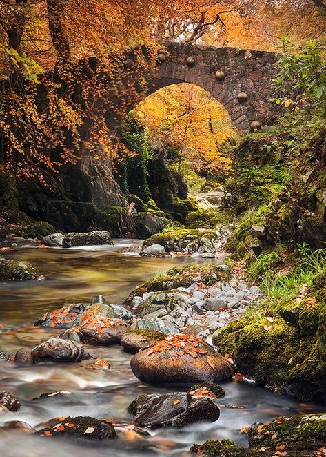 Beautiful Award Winning Landscape Photography By Gary McParland From Ireland, Northern Ireland , Scotland and The UK. Prints are available to Purchase. Ireland Aesthetic, Best Of Ireland, Uk Landscapes, Scotland Landscape, Ireland Photography, Ireland Scotland, Irish Landscape, Between Two Worlds, Scenic Travel