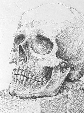 Shading Pictures To Draw, Creepy Realistic Drawings, Skull Shading Drawing, Skull Charcoal Drawing, Charcoal Art Projects, Skeleton Head Sketch, Skeleton Head Art, Skull Shading, Skeleton Drawing Reference