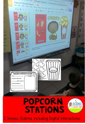 Science and the 5 Senses with Popcorn! Perfect with digital and paper resources from the Science School Yard! Five Senses Kindergarten, 5 Senses Activities, Summer School Activities, The 5 Senses, Science Stations, Senses Activities, Interactive Science, Learning Stations, Easy Science Experiments