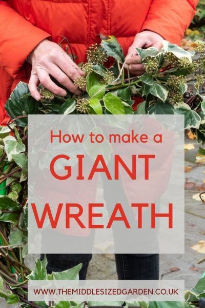 Live Christmas Wreaths, Giant Christmas Wreath, Giant Wreath, Extra Large Wreath, Giants Wreath, Natural Christmas Wreaths, Zero Waste Christmas, Outdoor Christmas Wreaths, Large Christmas Wreath