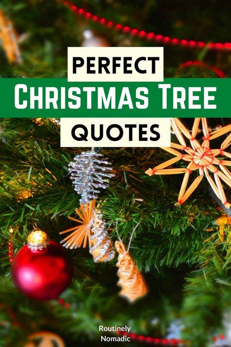 Did you just have the most amazing time at Christmas and are now looking for Christmas tree quotes for Instagram, inspiration or decorations? Here are the best funny, inspirational, and cute quotes about Christmas trees, decorating, ornaments and putting up the Christmas tree. Find the best one that fits your experience, picture or just inspires you! Decorating Ornaments, Christmas Tree Quotes, Quotes Cool, Christmas Classroom Treats, Best Christmas Quotes, Best Christmas Tree, Tree Quotes, Funny Christmas Tree, Christmas Background Images