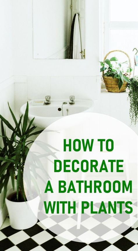 How to Decorate Your Bathroom with Plants, Houseplant Decor, Decorating with Houseplants, Bathroom Houseplants Greenery In Bathroom Ideas, How To Add Plants To Your Bathroom, Bathroom Plant Decor Ideas Modern, Indoor Plants Styling Bathroom, Live Plants In Bathroom, Plant In The Bathroom, Plants In Restroom, Plants By Bathtub, Bathroom Sink Plants