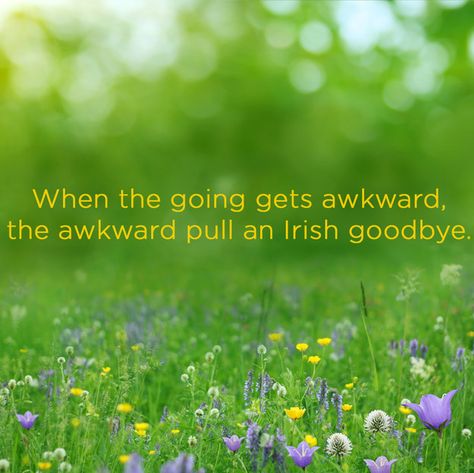 21 Proverbs For Introverts Personality Affirmations, Irish Goodbye, Irish Proverbs, Irish Eyes Are Smiling, Introverts Unite, Introvert Quotes, Irish Quotes, Irish Eyes, Irish Blessing