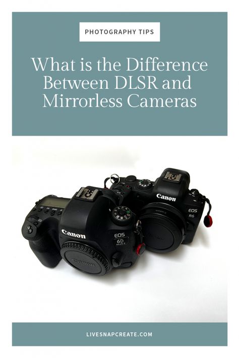 Learn the four main differences between a DSLR and mirrorless camera. Mirrorless Vs Dslr, Iphone Camera Tricks, View Finder, Moms Photography, Photography Hacks, Dslr Photography, Photography Basics, Photography Tips For Beginners, Photography Education