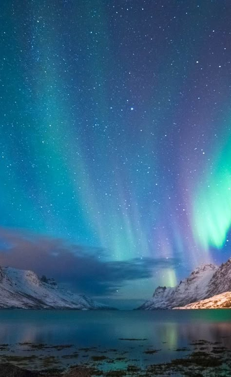 Norway Aurora, Northern Lights Photography, Aurora Sky, Aurora Borealis Northern Lights, The Aurora, Beautiful Nature Wallpaper, The Night Sky, Cool Backgrounds, Beautiful Sky