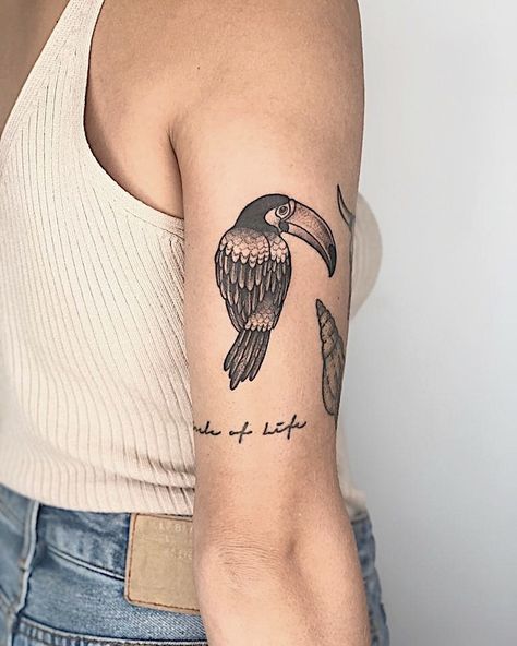 Small Toucan Tattoo, Toucan Tattoo Black And White, Tucan Tattoo, Toucan Tattoo, Dublin Tattoo, Tropical Tattoos, Golden Tattoo, Tropical Tattoo, Tattoo 2023