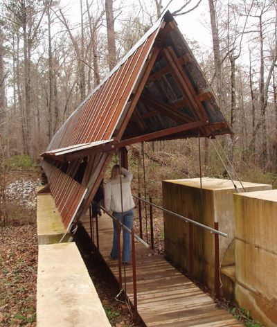 Rural Alabama, Forest Architecture, Rural Studio, Park Project, Studio Architecture, Timber Architecture, University Architecture, Architecture Panel, Studios Architecture