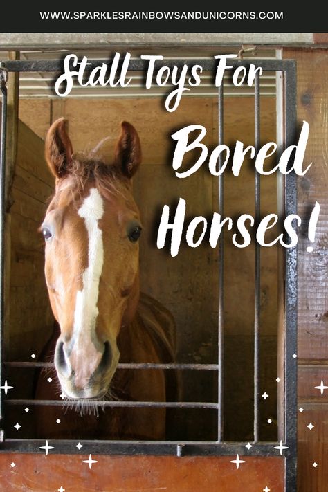 Stall Boredom Toys Diy, Horse Stall Toys Diy, Horse Enrichment Ideas Diy, Horse Stall Accessories, Diy Horse Stalls Toys, Horse Boredom Busters Diy, Diy Horse Boredom Toys, Diy Toys For Horses, Horse Stall Enrichment