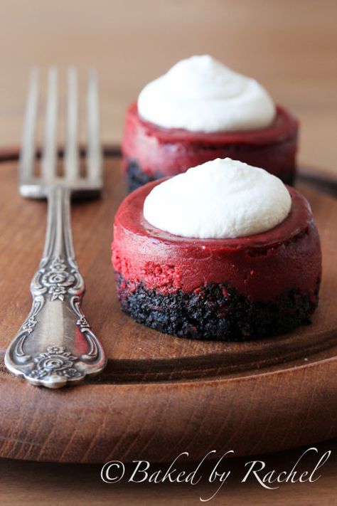 Mini Red Velvet Cheesecake Recipe - bakedbyrachel.com Velvet Desserts, Red Velvet Desserts, Red Velvet Recipes, Red Velvet Cupcake, Velvet Cheesecake, Red Velvet Cheesecake, Valentine Desserts, Food Cakes, Mini Desserts