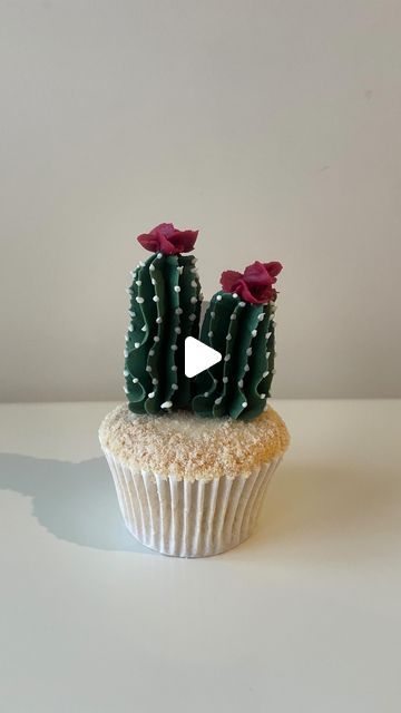 Alice Ward on Instagram: "A quick lil cactus reel 🌵   @nestle matchmakers are great for giving height to your buttercream cacti! A nice treat to discover when you are tucking in!  I use a 1G nozzle for these cacti 🌵 and a number 1 for the white dots.  . #cake#cupcakes#cactuscupcakes#succulentcupcakes#succulents#chocolate#cupcake#cupcakevideo#cupcakereel#pipingvideo#cakeinspo#funcupcakes#petalsbakehouse" Cactus Cupcakes Easy, Buttercream Cactus, Cactus Cupcakes, Succulent Cupcakes, Tall Cactus, Succulent Cake, Cactus Cake, Pot Cakes, Icing Tips