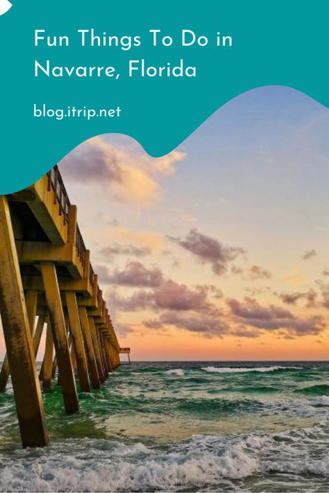 Navarre is known as a hidden gem. Keep reading to learn about the top Navarre attractions and things to do. Navarre Beach Florida, Turtle Conservation, Beach Things, Okaloosa Island, Navarre Beach, Public Golf Courses, Fishing Pier, Fort Walton Beach, Pier Fishing