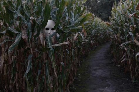 Halloween Fun in Bozeman - Montana Gift Corral Haunted Trail Ideas, Scary Maze, Haunted Corn Maze, Haunted Maze, Haunted Woods, Haunted Hayride, Halloween Outside, Halloween Travel, Haunted Attractions