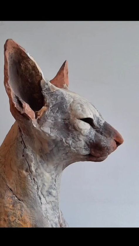 Terracotta Sculpture, Ceramic Cats, Cat Anatomy, Ceramic Texture, Cat Sculpture, Animal Sculpture, Ceramics Pottery Art, Sculpture Installation, Modern Sculpture