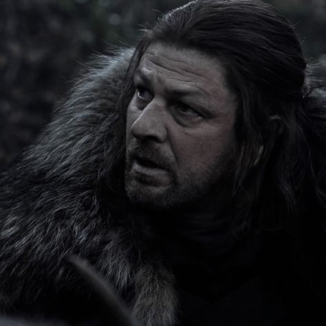 Ned Stark Icon, Stark Family, Marvel Oc, Ned Stark, Dragon House, Sean Bean, Van Helsing, Beautiful Man, Role Models