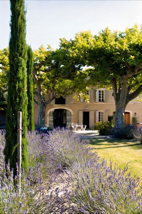 Step into the world of Mas Sedo and experience luxury living at its finest. Nestled among ancient trees and lavender fields, this lavish farmhouse is the perfect escape for those seeking a taste of French sophistication. From its grand exterior to its elegant interior, every detail has been thoughtfully designed to provide the ultimate retreat. #lecollectionist #luxuryrealestate #frenchchateau #frenchfarmhouse #provence #lavender #trees #outdoorliving #frenchvilla #vacationrental French Provence Interior, Provence Interior, Provencal Decor, Provence House, Provence Garden, Villa France, French Villa, Tuscany Landscape, French Estate