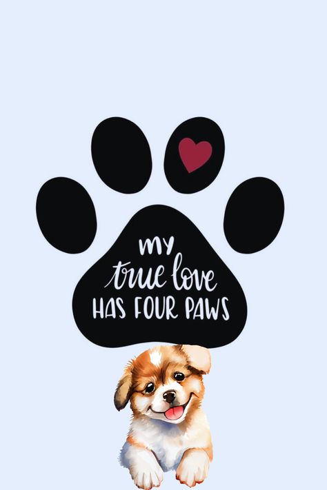 Cute dog love quotes for dog lovers!❤️🥰 #doglovequotes #doglovequotesunconditional #meandmydogquotesunconditionallove #petdogquotesunconditionallove #dogquoteslovebestfriends Quotes For Dog Lovers, Dog Love Quotes, Mood Right Now, Dog Human, Dog Training Tricks, Dog Lover Quotes, Dog Quotes Love, Touching Words, Dog Quotes Funny