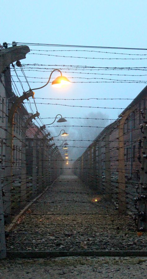 Concentration Camps Germany, Holocost Art, Ww2 Aesthetic, Fake Love Images, Eerie Lighting, 40s Aesthetic, Poland Ww2, Christian Studies, Camping Aesthetic