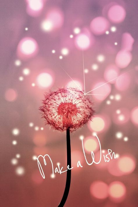 Make a wish Dandelion Wishes, A Dandelion, Dandelion Wish, Goal Planning, Happy B Day, Jolie Photo, Everything Pink, Happy Birthday Wishes, Make A Wish