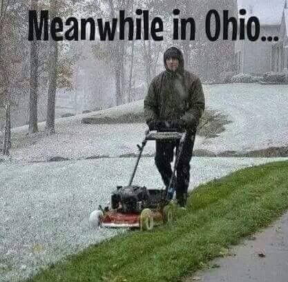 Meanwhile in Ohio Friday Funny Pictures, Meanwhile In Canada, Friday Humor, Pictures Of The Week, E Card, Lawn Care, Funny People, Lawn Mower, West Virginia