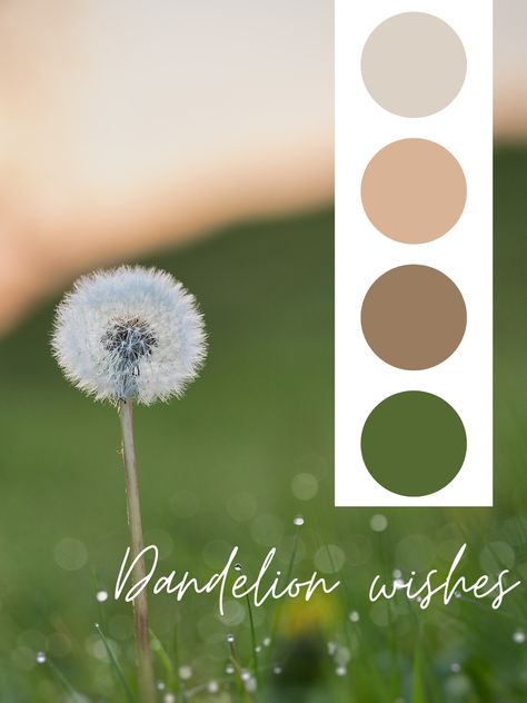 Dandelion wishes, color palette, photography inspo, wedding color palette, color theory Color Palette Photography, Dandelion Color, Breeze Color, White Color Palette, Dandelion Wishes, Palette Design, Dandelion Wish, Palette Color, Color Palette Design