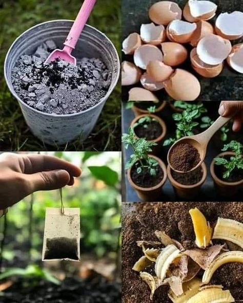 Diy Plant Fertilizer How To Make, Diy Plant Fertilizer, Homemade Plant Fertilizer, Plant Fertilizer, Banana Peels, Garden Hacks Diy, Vegetable Scraps, Natural Fertilizer, Banana Peel