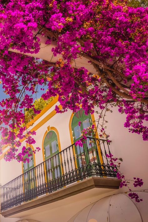 Avec un ensoleillement presque constant à l'année, des paysages étonnants, des spécialités culinaires délicieuses et une culture fascinante, l’Andalousie constitue l’une des meilleures destinations de vacances. Trouvez facilement votre futur séjour parmi nos offres à petits prix. #andalousie #espagne #tapas #vacances #soleil #marbella #malaga #séville #petitprix Seville Photography, Hotel Bali, Marbella Spain, Nature Art Painting, San Pedro, Summer 24, Seville, Marbella, Travel Lifestyle