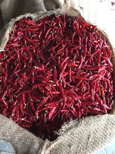 The red chilies were brought to India by the Portuguese in the 15th Century. And since then, spice has found its place in the country, and hence there are many varieties of chilies in India. Today, the stemless red chili manufactures are increasing in India as the dried red chili stemless is very commonly used in the country. #StemlessRedChilliManufacturers Tikki Masala, Chilli Spice, Masala Fries, Mini Mart, Pav Bhaji Masala, Malai Kofta, Chilli Peppers, Red Chilli Powder, Indian Subcontinent