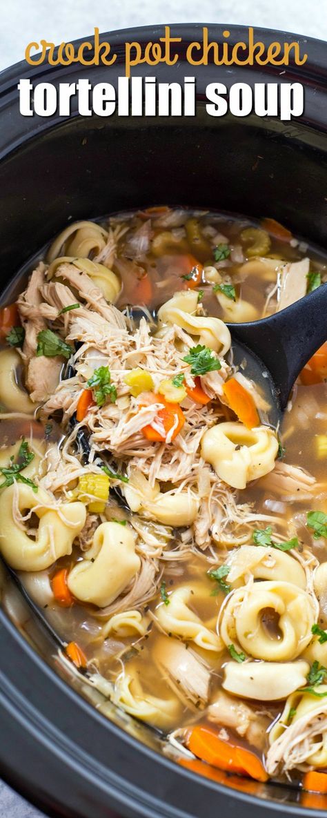 CROCK POT CHICKEN TORTELLINI SOUP is the easiest chicken noodle soup you will ever make! It's sure to become a fall and winter staple at your house! via @realhousemoms Crock Pot Chicken Tortellini, Crockpot Chicken Tortellini, Chicken Tortellini Soup Crock Pot, Slow Cooker Tortellini Soup, Chicken Noodle Soup Crock Pot, Chicken Tortellini Soup, Chicken Noodle Soup Easy, Chicken Tortellini, Easy Crockpot Chicken