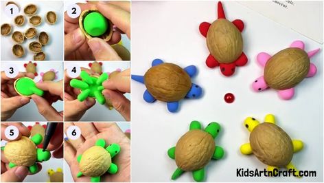 Learn To Make Walnut Shell And Clay Turtles Craft Check more at https://www.kidsartncraft.com/walnut-shell-clay-turtles-tutorial/ Clay Turtles, Clay Turtle, Turtle Crafts, Lippan Art, Walnut Shell, Clay Crafts, Turtles, Walnut, Shells