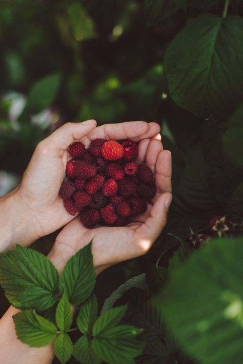 Hands Holding, Kitchen Garden, Slow Living, The Grass, Permaculture, Simple Life, Amazing Gardens, Country Life, Farm Life