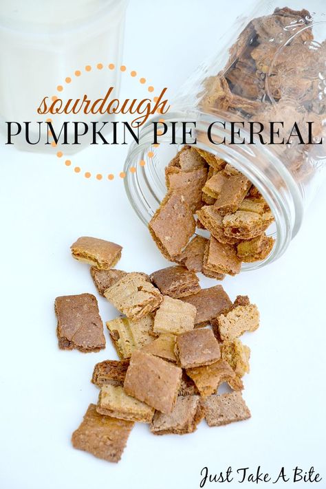 Sourdough Pumpkin Pie Cereal Sourdough Cereal, Sourdough Sweets, Frosted Mini Wheats, Pumpkin Sourdough, Cold Breakfast, Sourdough Pumpkin, Pumpkin Pie Recipe Easy, Natural Yeast, Homemade Cereal