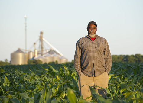 Black Farmers, Agriculture Business, Crop Field, Corn Field, Black Wall Street, Mississippi Delta, Types Of Work, Black American, Supply Chain