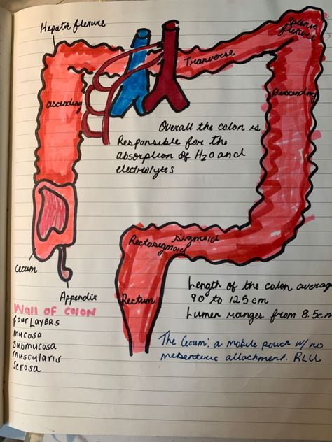 Surgeon Notes, Technology Notes, Med School Prep, Surgical Technologist Student, Sterile Processing, Surg Tech, Scrub Tech, Surgical Technologist, School Prep