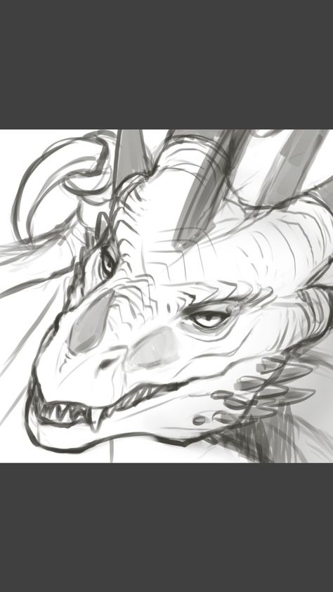 Dragon Horns Drawing, Horns Drawing, Dragon Poses, Dragon Anatomy, Dragon Horns, Dragon Face, Dragon Sketch, Creatures Art, Creature Drawings