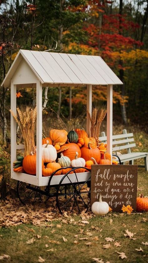 Fall Displays Outdoor, Festival Crafts For Kids, Fall Festival Crafts, Fall Festival Decorations, Fall Festival Games, Outdoor Decor Ideas, Halloween Party Photo, Fall Carnival, Festival Games