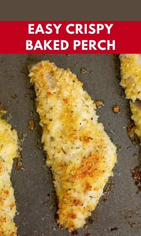 Baked Perch Recipes, Perch Recipes, Ocean Perch Recipes, Fish Dishes Recipes, Easy Seafood Dinner, Ocean Perch, Baked Fish Tacos, Perch Fish, Ckd Recipes