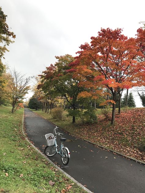 A light drizzle adds a romantic touch to a dazzling display of autumn colours at Moerenuma Park, Sapporo-shi, Hokkaido (Japan, October 2017) Hokkaido Japan Autumn, Japan In October, Japan Moodboard, Japan October, Sapporo Japan, Japan Hotel, Hokkaido Japan, Autumn Colours, Aesthetic Japan