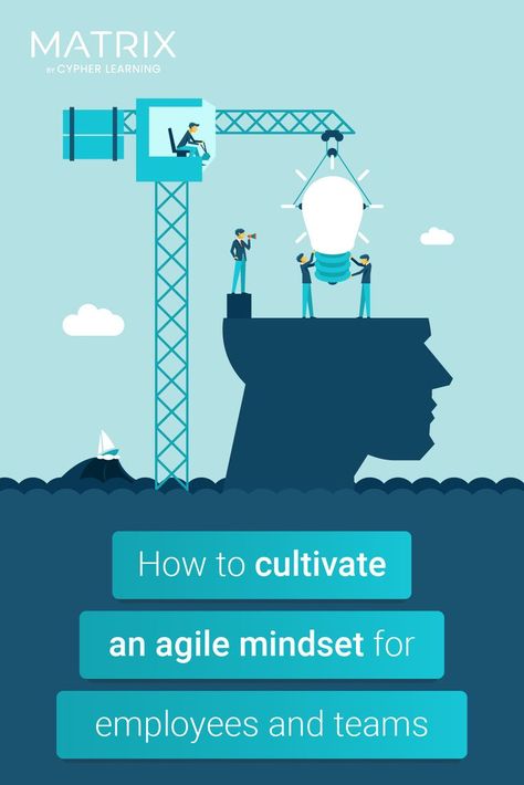 Employee and team agility are crucial in times of crisis. Find out how companies of all sizes can cultivate an agile mindset with the ultimate goal of becoming more resilient and productive. Agile Mindset, Agile Coaching, Workplace Learning, Mindset Coaching, The Fosters, Brain, Coaching