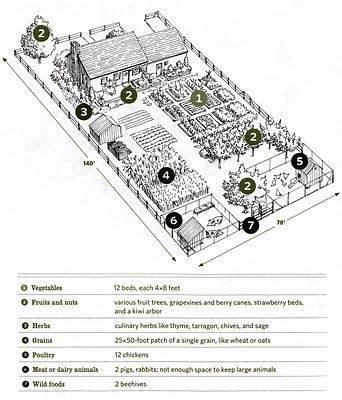 I love these sorts of drawings and very much want to produce one of our own little plot Homestead Layout, Acre Homestead, Farm Plans, Homestead Farm, Farm Layout, Herb Gardens, Permaculture Design, Mini Farm, Have Inspiration