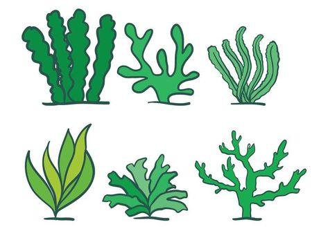 Conjunto de vectores de algas marinas Underwater Plants, Marine Plants, Plant Icon, Ocean Backgrounds, Sea Plants, Alphabet Worksheets Preschool, Under The Ocean, Plant Background, Fish Vector