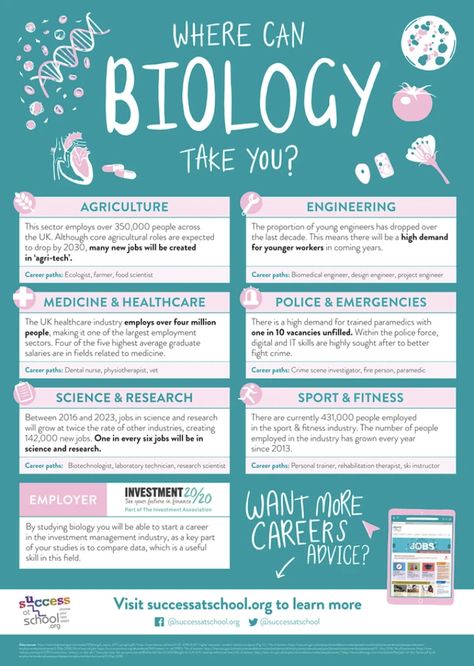 Where can #biology take you? This poster features great #career advice, sectors, actual #jobs and #labour market information, a great visual for #students to understand how their #curriculum links to careers in the real world. Credit: Success for Schools #placingpeoplefirst Career Pathways Ideas, Science Jobs Career, Career In Biology, Careers In Biology, Biology Career Aesthetic, Career Counseling Poster, Career Guidance Posters, Future Jobs Career, Biology Poster Ideas