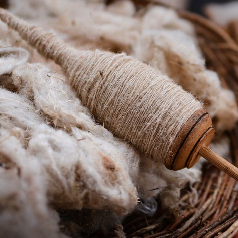 Alpaca wool has a soft texture. The fiber has the luster of silk, making it even more coveted. Alpaca is warm and light weight. Containing no lanolin it is also naturally hypoallergenic. Additional performance characteristics include stretch, water repellency, and odor reduction. #PACABAMBA #sustainablehandcraft #sustainablefashion #sustainablymade #alpaca #wool #allnatural #andeantraditions #alpacafashion #ecofashion #ecofriendly #fairfashion #pichinkuyarn #allnatural #alpacawool Alpaca Wool Projects, Wool Aesthetic, Alpaca Farm Photoshoot, Wool Photography, Yarn Business, Crismas Tree, Spinning Yarn Fiber, Pet Sweaters, Alpaca Blanket