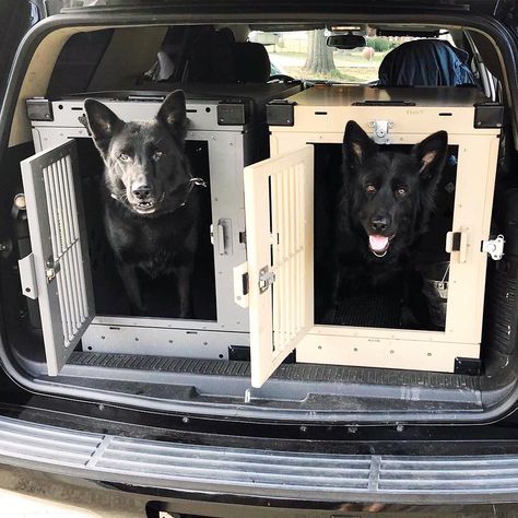 Impact Dog Crates on Instagram: “good friends, car rides, and training 🙌 ———————————————————— happy #friyay!! Where are you off to this weekend? ⠀⠀ Like and Comment below…” Car Dog Crate, Dog Car Setup, Car Dog Bed, Dog Bed Frame, Double Dog Crate, Dog Transport, Kennel Ideas, Puppy Checklist, Dog Organization