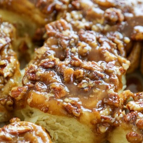 Caramel Pecan Cinnamon Rolls - Dash of Sanity Caramel Pecan Cinnamon Rolls Cinnabon, Caramel Nut Rolls, Caramel Pecan Cinnamon Rolls, Pecan Cinnamon, Caramel Pecan Pie, Pecan Cinnamon Rolls, Cinnamon Roll Icing, Caramel Rolls, Rolls Homemade