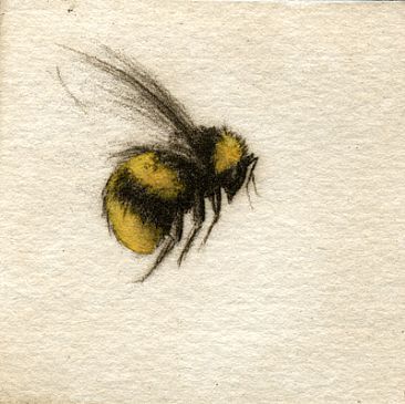 Watercolor bee tattoo Honey Bee Tattoo, Bumble Bee Tattoo, Vogel Tattoo, Flower Sketch, Kunst Tattoos, Shape Tattoo, Bee Painting, Bee Tattoo, Desenho Tattoo